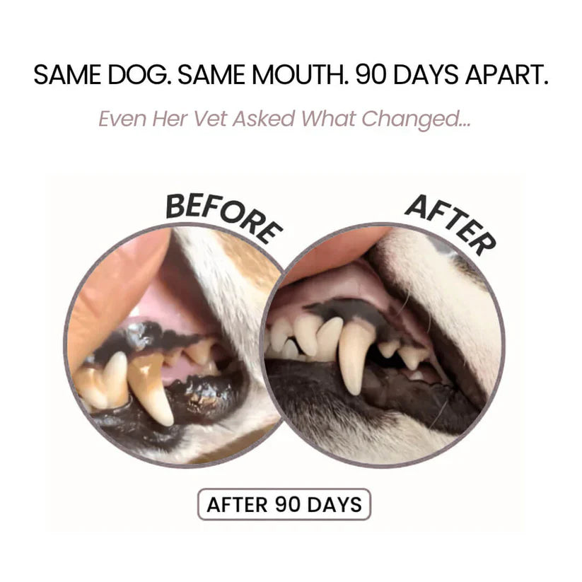 🍃NO BRUSHING PET ORAL CARE SPRAY