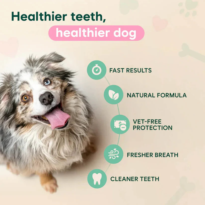 🍃NO BRUSHING PET ORAL CARE SPRAY