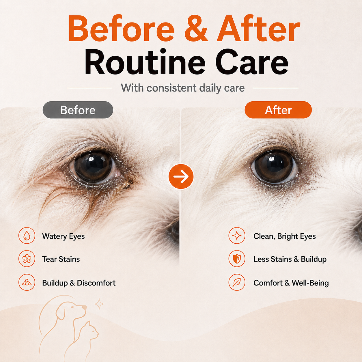 Pet Eye Drops for Cats & Dogs｜Gentle Daily Care