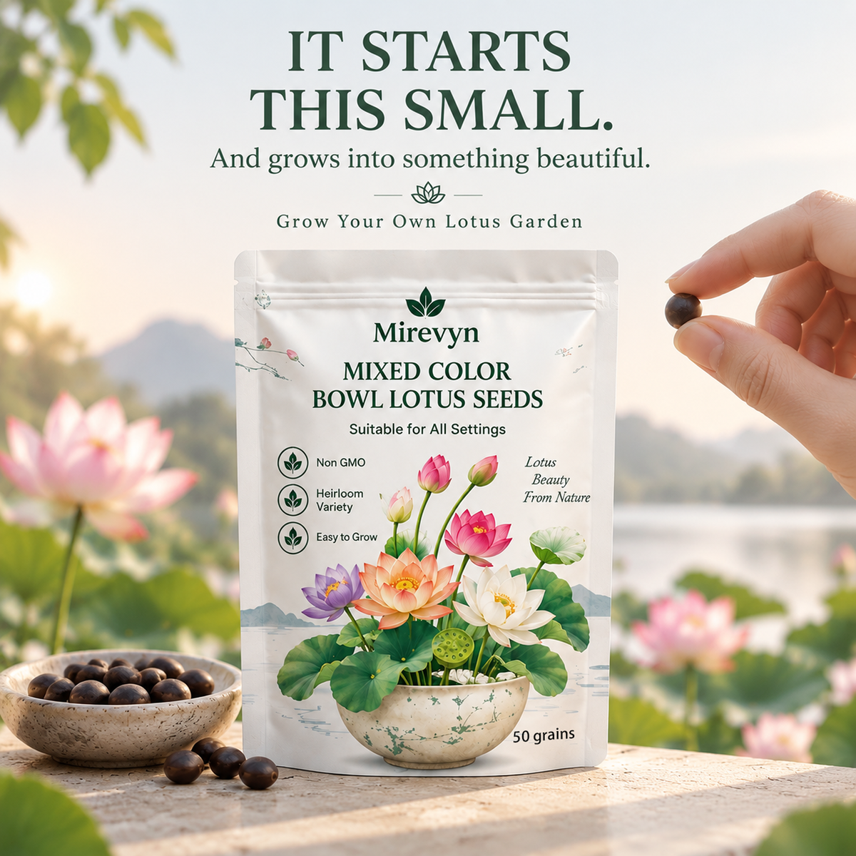 Grow Your Own Mini Lotus Garden | Mixed Color Bowl Lotus Seeds