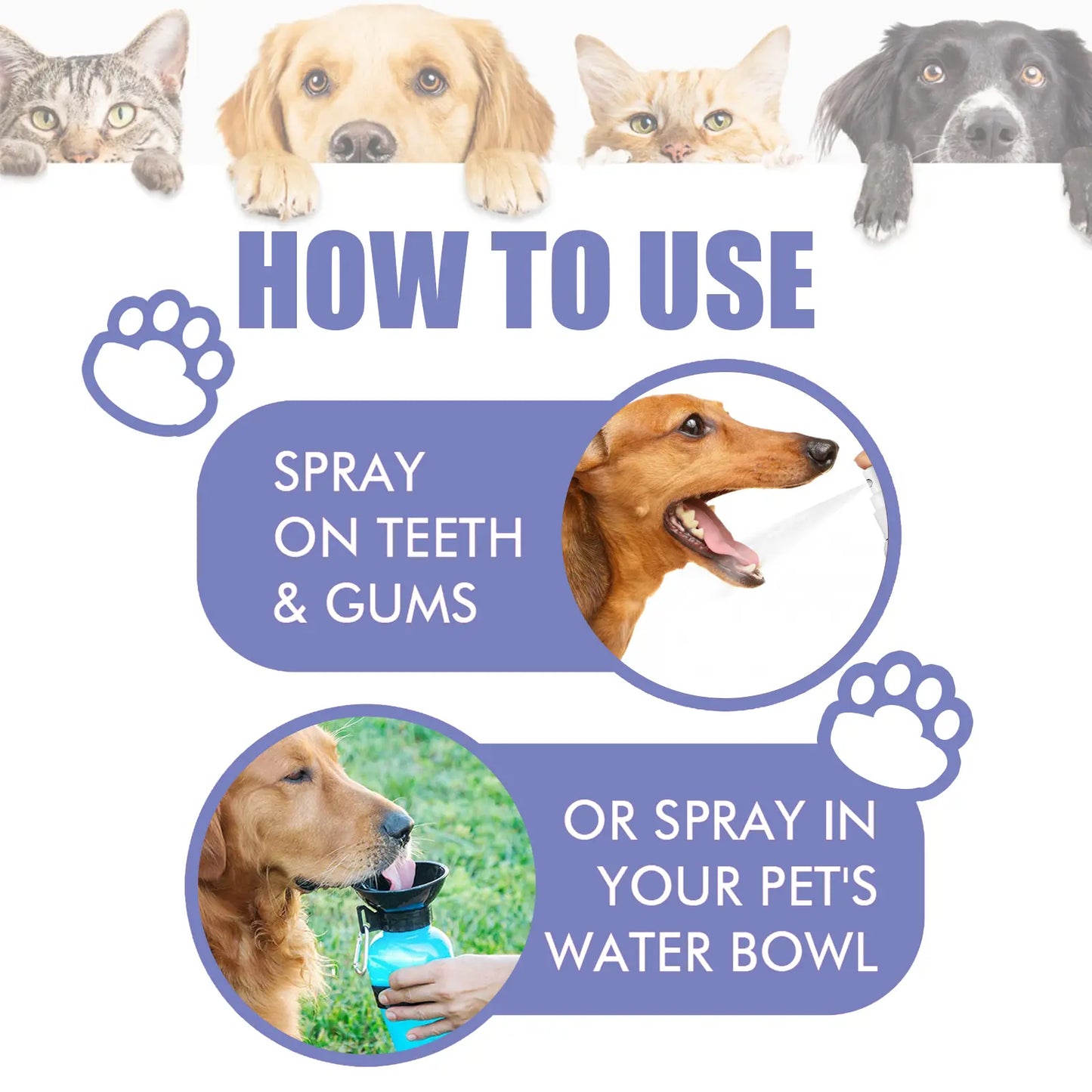 Petdoir™ 🍃No-Brushing Oral Care Spray for Dogs & Cats