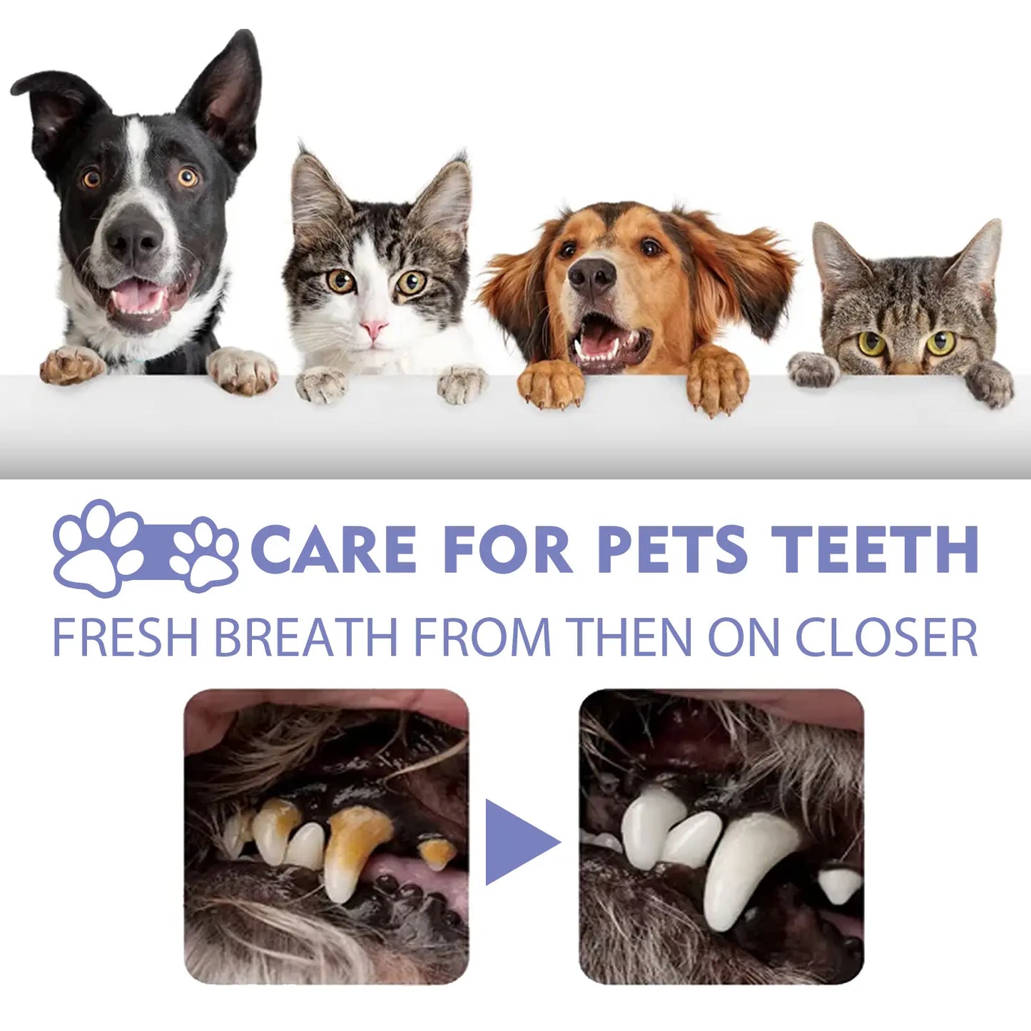 Petdoir™ 🍃No-Brushing Oral Care Spray for Dogs & Cats
