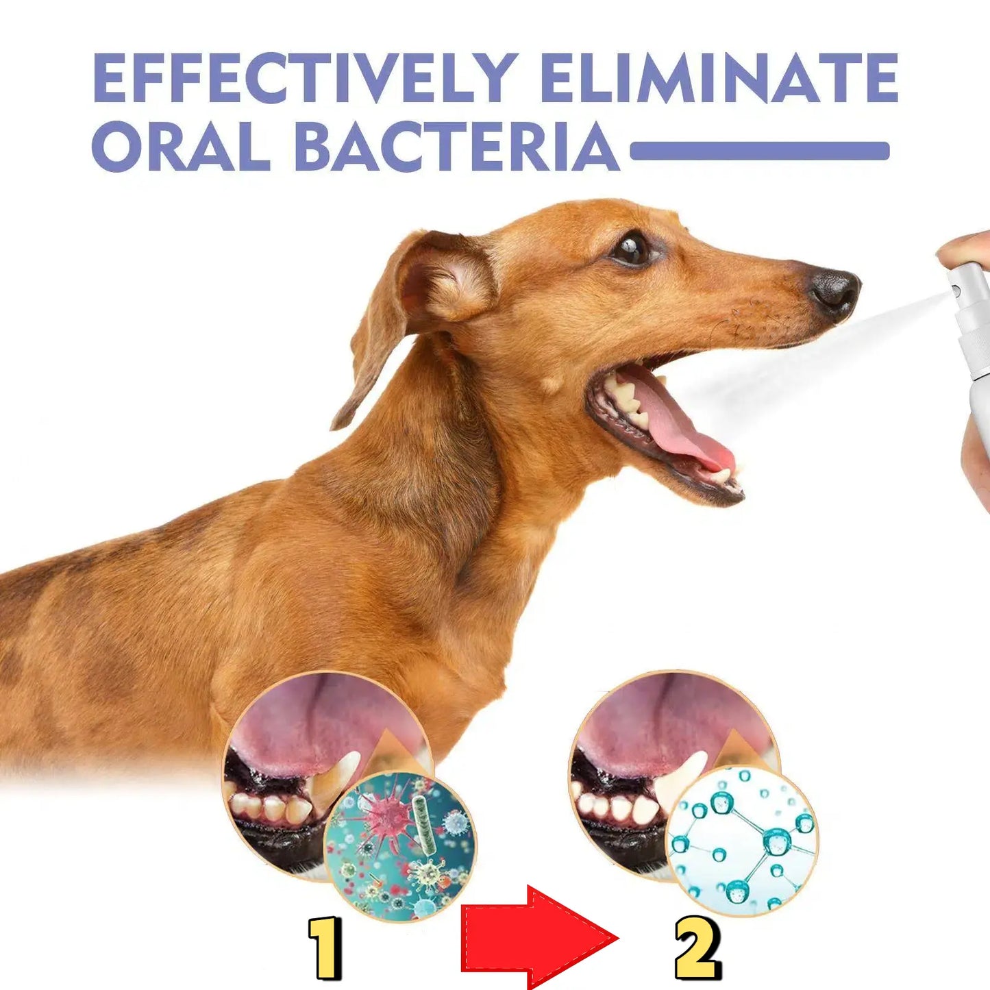 Petdoir™ 🍃No-Brushing Oral Care Spray for Dogs & Cats