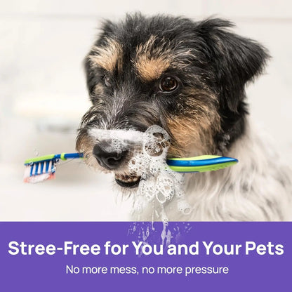 Petdoir™ 🍃No-Brushing Oral Care Spray for Dogs & Cats